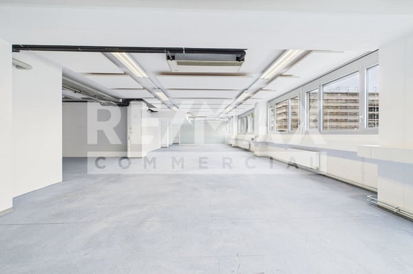 Attraktive Gewerbefläche mit vielen Nutzungsmöglichkeiten! Büro, Lager, Produktion etc.! 10