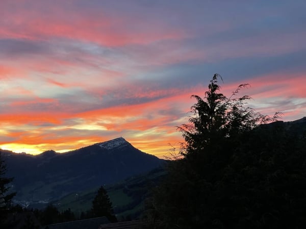 Neuwertiges Einfamilenhaus mit Voralpen-Panorama, 30 Min. nach Zug 22