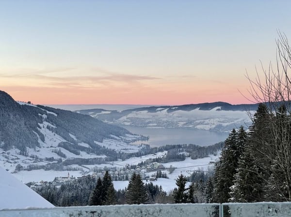 Neuwertiges Einfamilenhaus mit Voralpen-Panorama, 30 Min. nach Zug 23