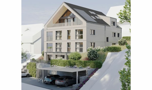 Über den Dächern von Wolfhausen 9