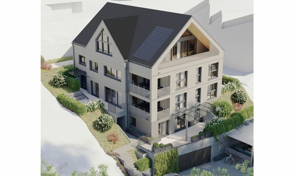 Über den Dächern von Wolfhausen 8