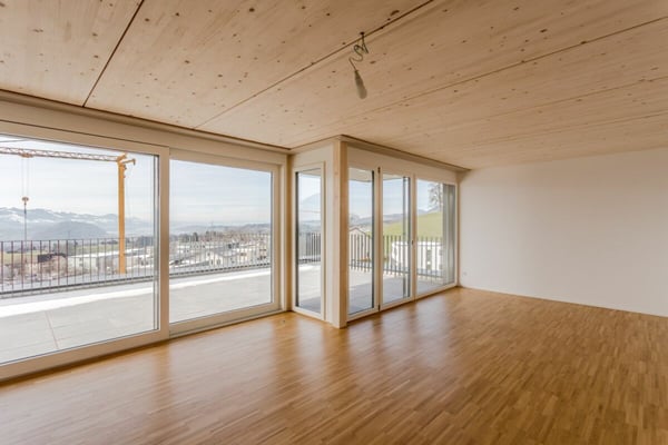 Wunderschöne 1.5-Zimmer-Attikawohnung 2