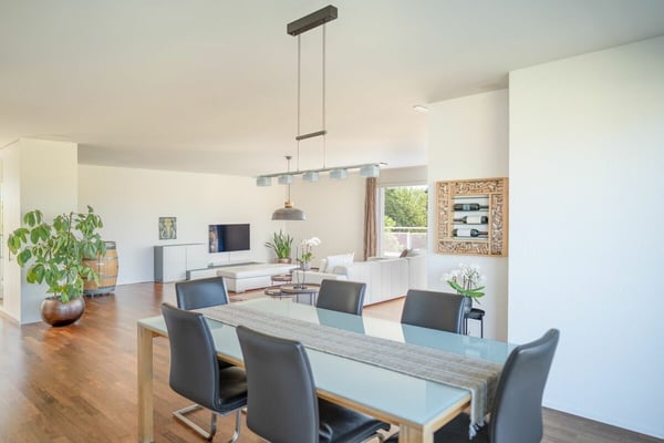Grosszügige 6.5 Zimmer-Attikawohnung 3
