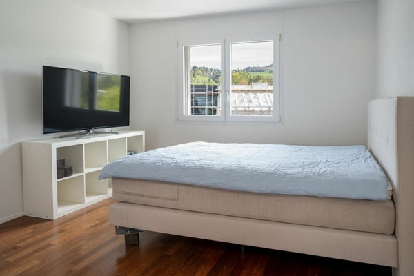 Grosszügige 6.5 Zimmer-Attikawohnung 6