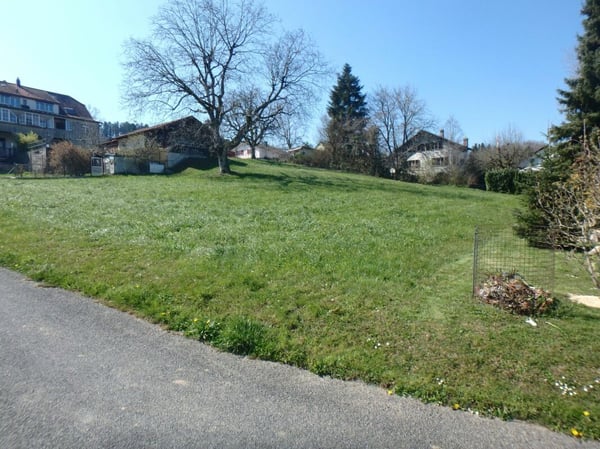 Grundstück mit Weitsicht 4