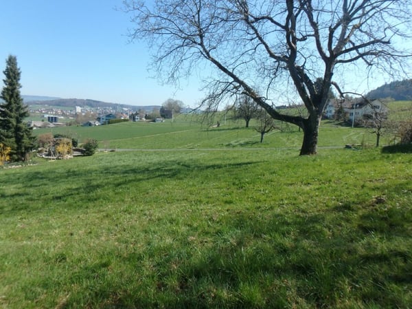 Grundstück mit Weitsicht 5