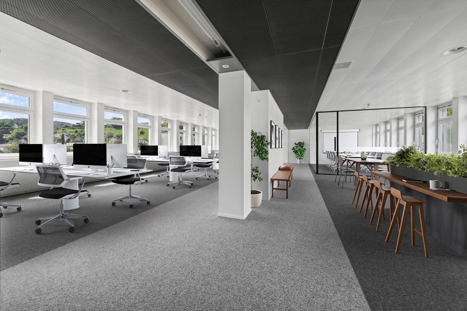 modern office with white desks, office chairs, large windows, carpet flooring, large potted plants, bench, counter with stools, white and black walls