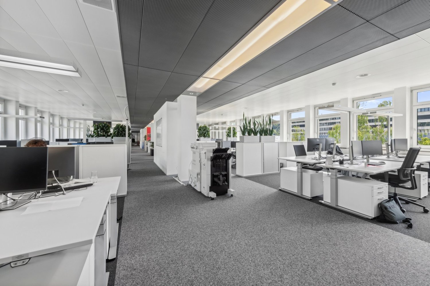 modern office with white desks, computers, glass windows, ceiling lights, white walls, potted plants