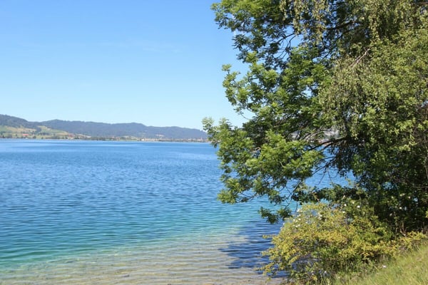 Chalet Sonnenbühl: Attraktives Zweifamilienhaus mit freier Bergsicht und dem See als Kulisse 16