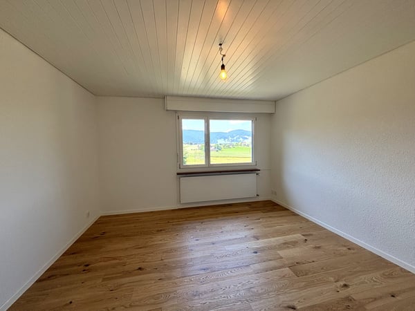 Frisch renoviertes 5.5-Einfamilienhaus an sonniger Lage 4