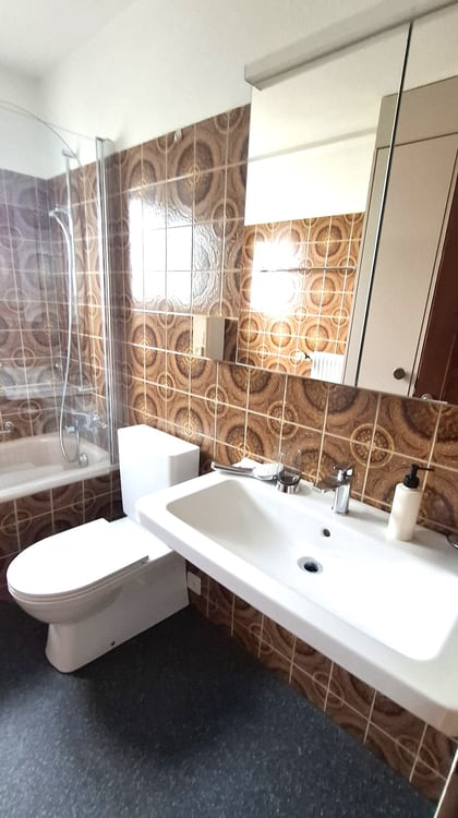 Charmantes 5-Zimmer-Einfamilienhaus in Schlieren – ab sofort zu vermieten 10