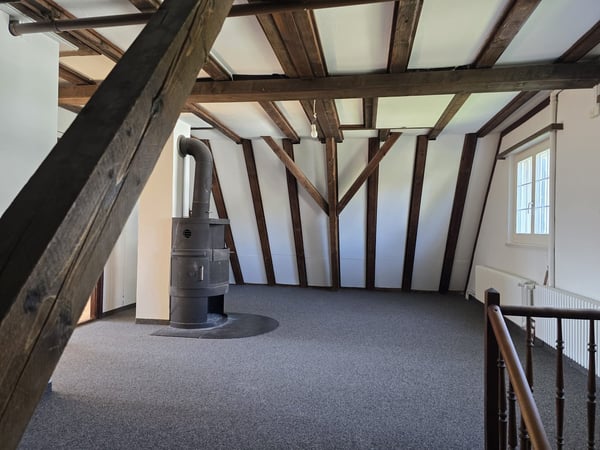 6.5-Zimmer-Einfamilienhaus mit Terrasse und Seesicht 17