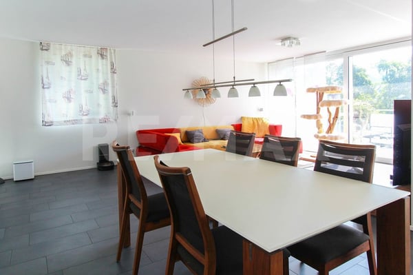 Moderne 1.5-Zimmer-Terrassenwohnung in Hilfikon 2