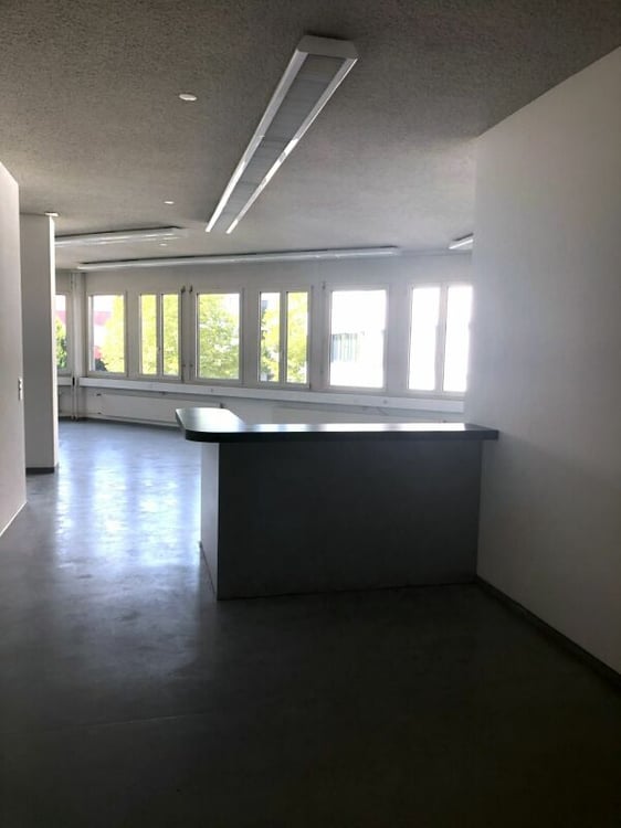 Flexibler Gewerberaum 267 m2 (günstig) 3