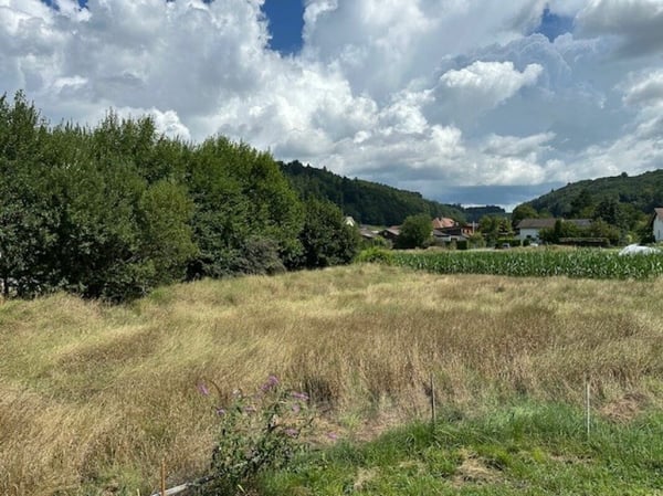 Attraktives Baulandpaket für Investoren und Entwickler 1