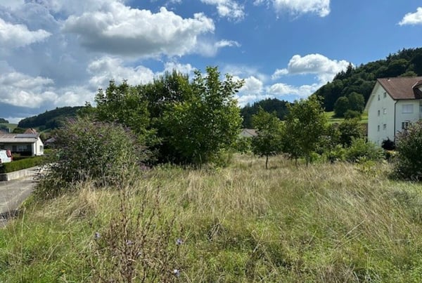 Attraktives Baulandpaket für Investoren und Entwickler 4