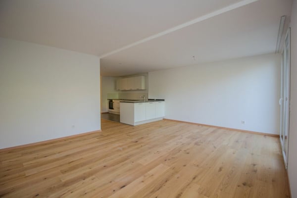 Frisch sanierte 4.5-Zimmer-Gartenwohnung zur Vermietung 7