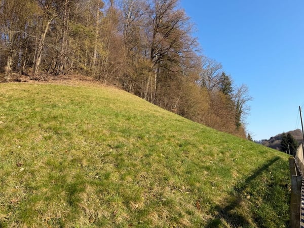 Charmantes Chalet mit viel Potential auf grosser Parzelle 14