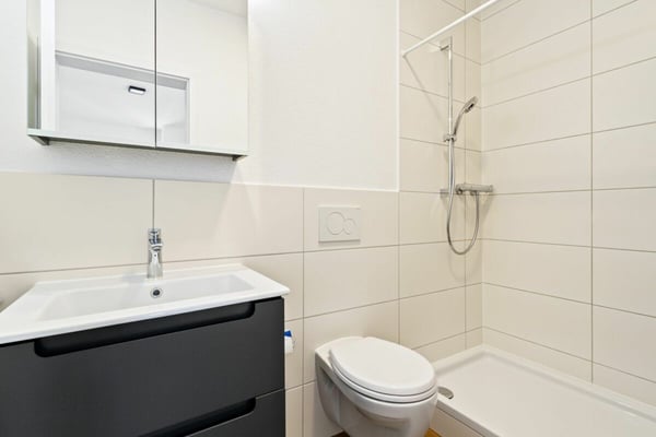 Voll vermietete, sanierte Liegenschaft an zentraler Lage 9