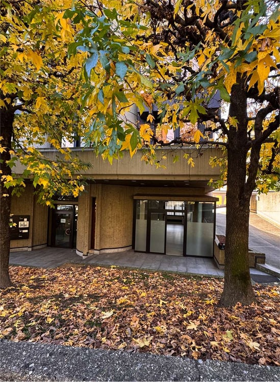 SPAZIO COMMERCIALE AL PIANO TERRA IN POSIZIONE STRATEGICA 1