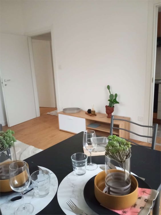 APPARTAMENTO AMMOBILIATO DI 1.5 LOCALI A CHIASSO 3