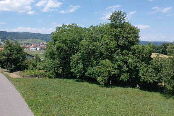 874 m² Bauland-Parzelle, sehr sonnige Quartierlage, oberhalb der Aare 2