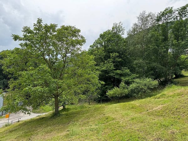 Terreno edificabile per casa unifamiliare 5
