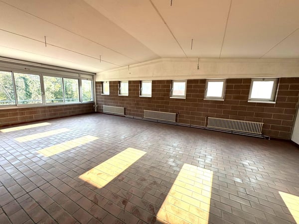 Capannone industriale in affitto – spazi rinnovati, climatizzati e personalizzabili 11