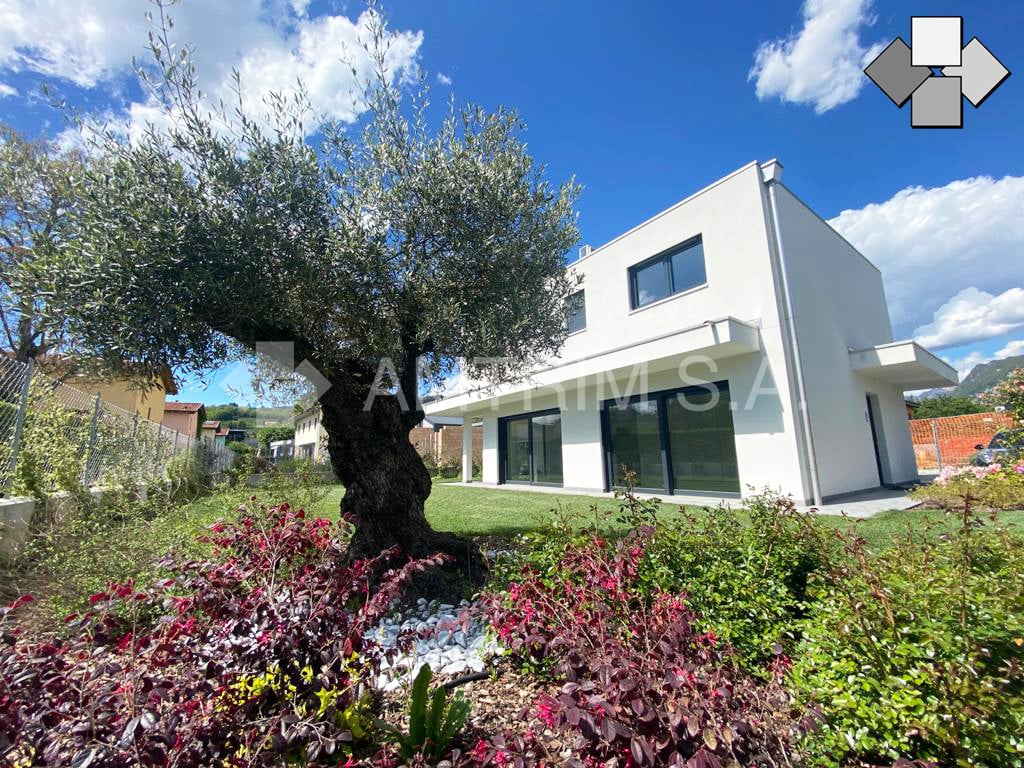 Two-story modern white house with large windows, surrounded by a well-maintained garden with an olive tree and colorful flowers.