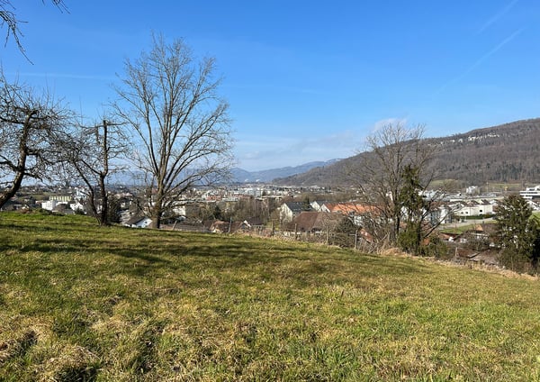 Einfamilienhaus mit Projekt in Rothrist 2