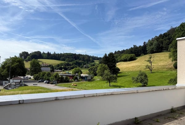 Exklusives Attikawohnen mit Panorama ins Grüne 9
