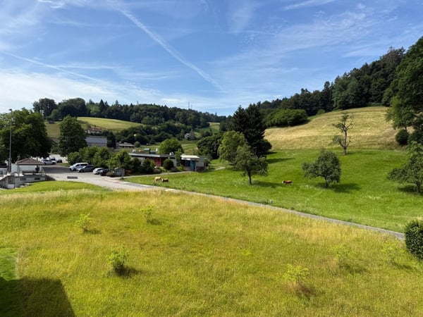 Exklusives Attikawohnen mit Panorama ins Grüne 10