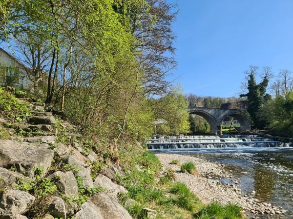 Allmendzentrum 1/3 15