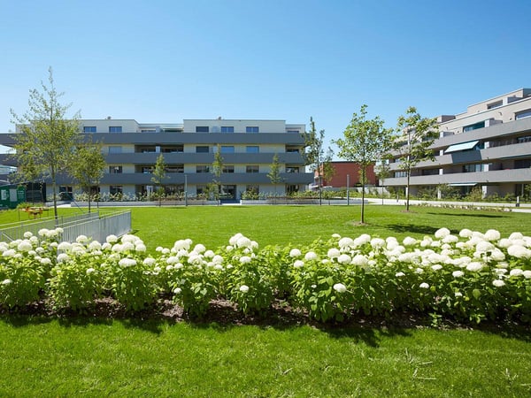 Vorschaubild der Immobilie