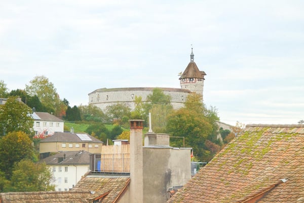 1.5 Zimmerwohnung in Schaffhausen 2