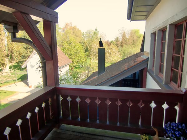 1.5 Zimmerwohnung in Ramsen 5