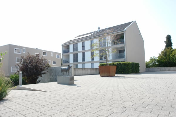 1.0 Zimmerwohnung in Neukirch (Egnach)