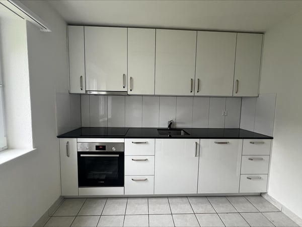 1-Zimmer-Wohnung in Schaffhausen 2