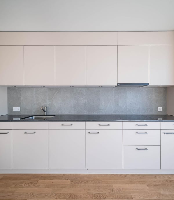 Einzigartige 1.5-Zimmer-Attika-Wohnung in Stein am Rhein 2