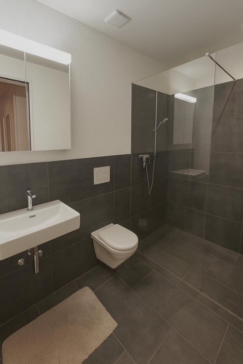 1.5 Zimmerwohnung in Au SG 3