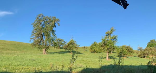 1.5 Zimmerwohnung in Feuerthalen 2