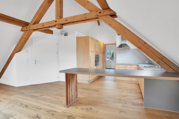 Dachwohnung mit Weitsicht 2