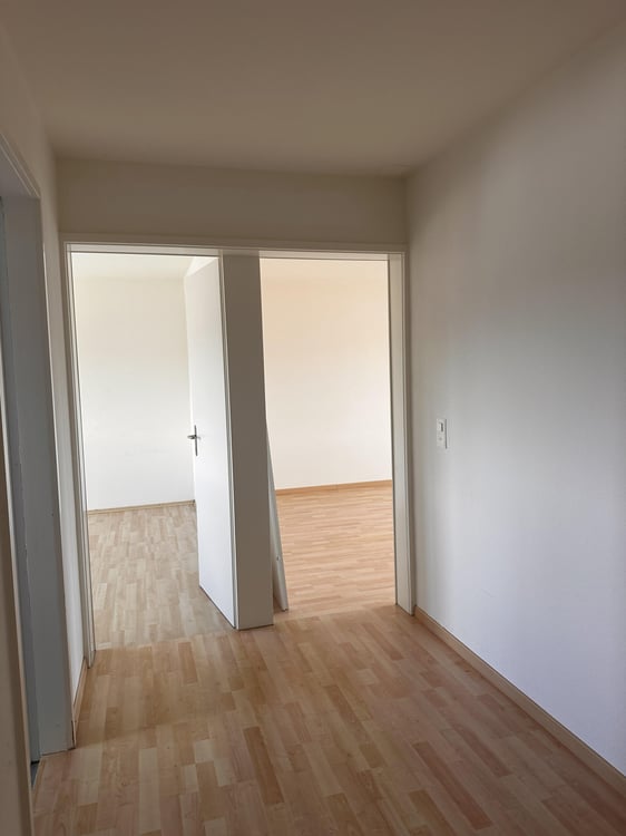 2.0 Zimmerwohnung in Wallisellen 5