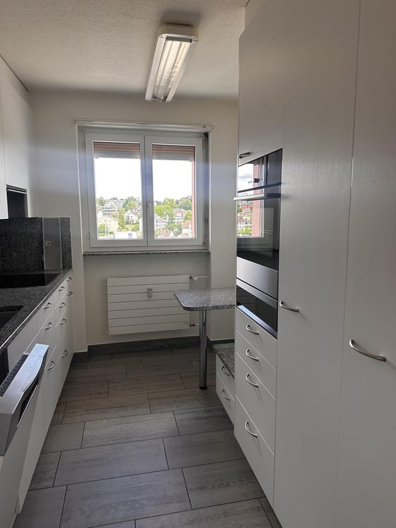 2.0 Zimmerwohnung in Wallisellen 2
