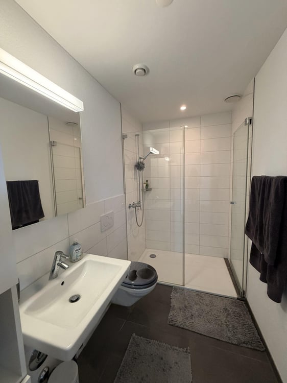 2.5 Zimmerwohnung in Effretikon 3
