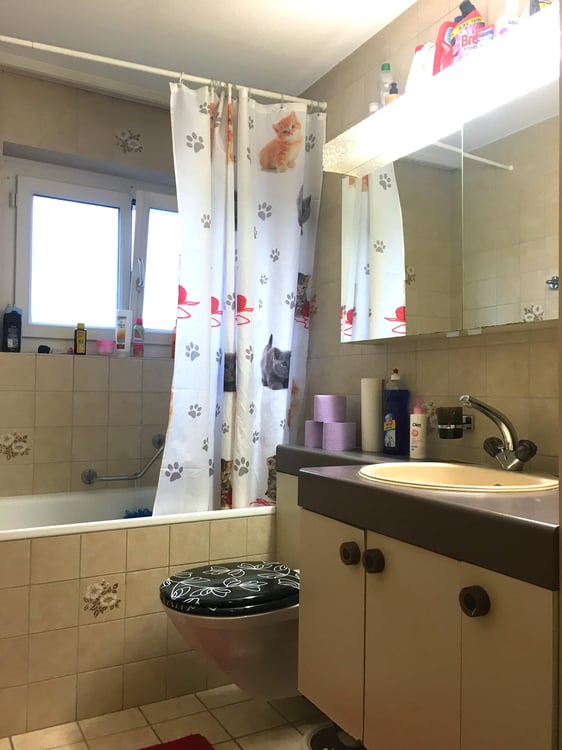 Traumhafte 4.5 Maisonette Wohnung 3