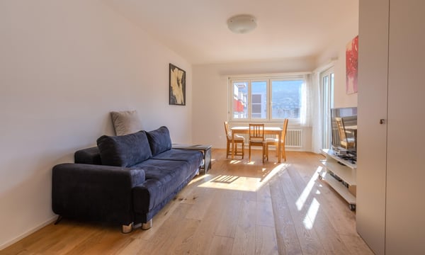 LUMINOSO APPARTAMENTO 1.5 LOCALI CON TERRAZZA A LUGANO 1