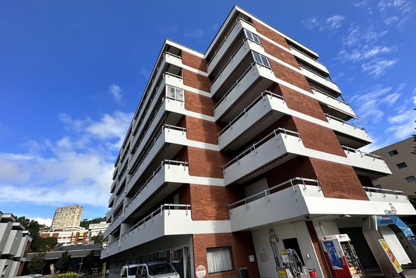 AMPIO 1.5 DI 80 MQ ULTIMO PIANO IN ZONA CENTRALE A LUGANO 9