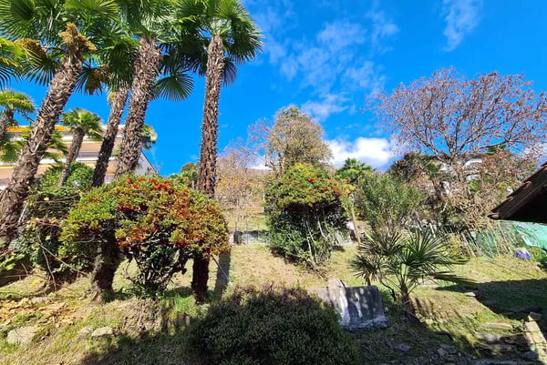 AFFARE - GRANDE TERRENO EDIFICABILE CON VISTA LAGO A LOCARNO 3