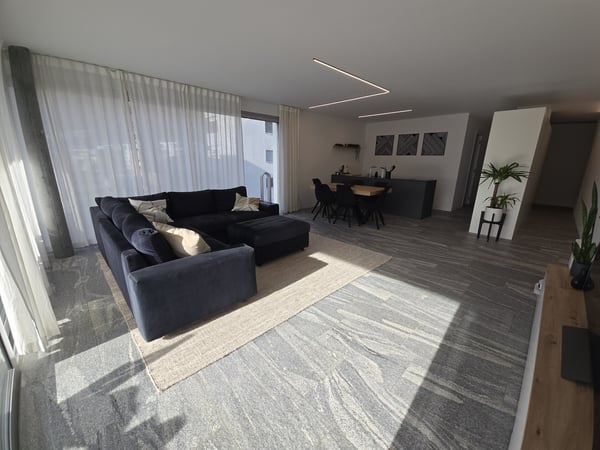 MODERNO 1.5 LOCALI IDEALE ANCHE COME B&B A BELLINZONA 3